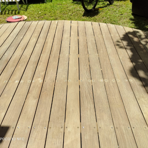 עיצוב ללא שם (19)